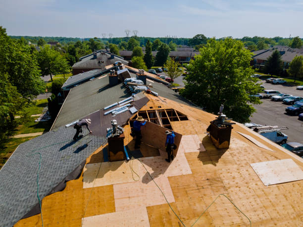 Quick and Trustworthy Emergency Roof Repair Services in Woodbridge, VA